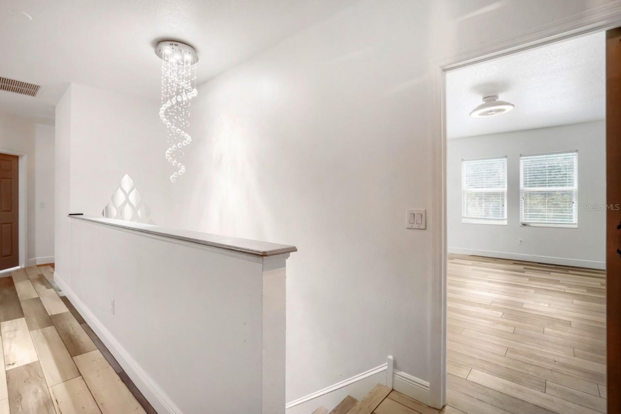 3951 Pacente Loop, Wesley Chapel, FL 33543 Photo
