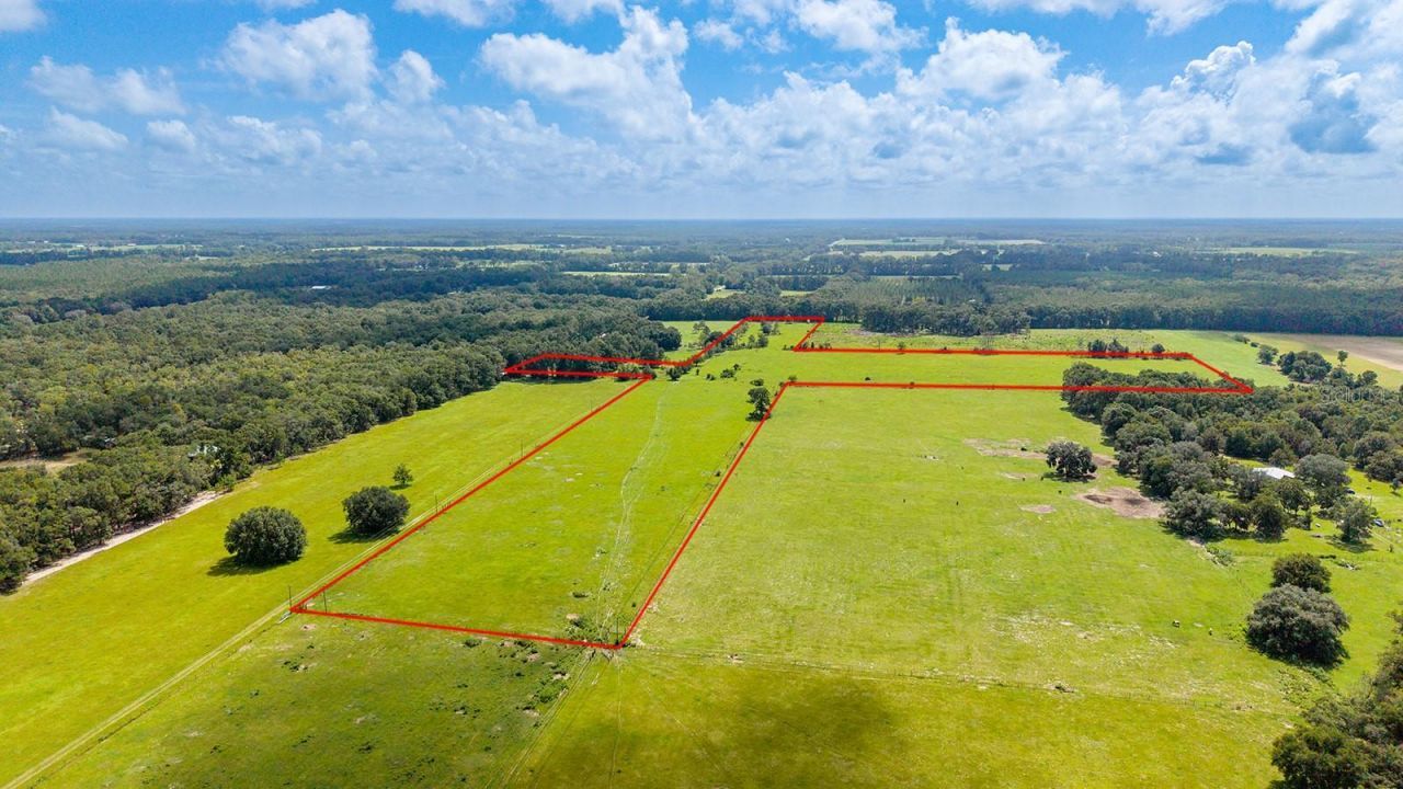 0000 NW 20th Street , Bell, FL 32619 Photo