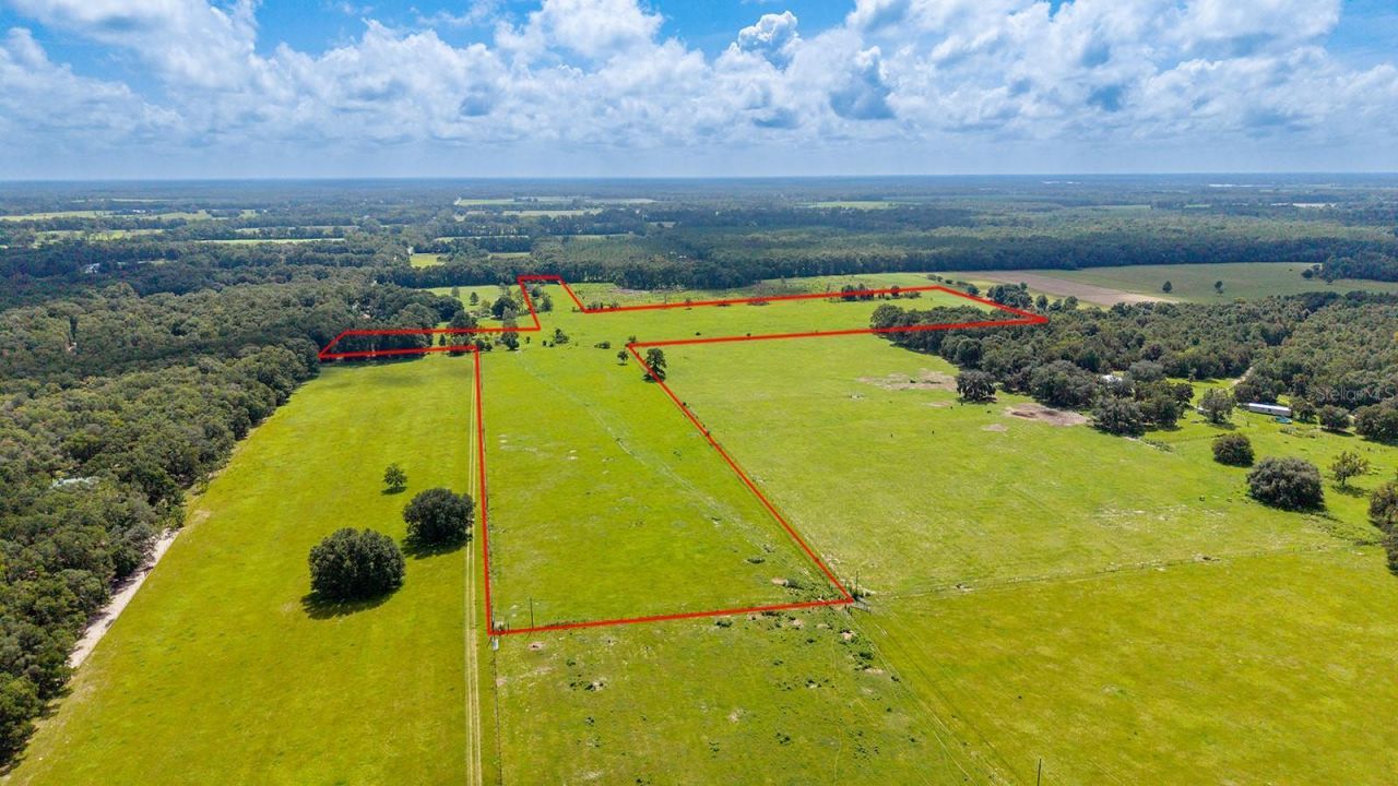 0000 NW 20th Street , Bell, FL 32619 Photo
