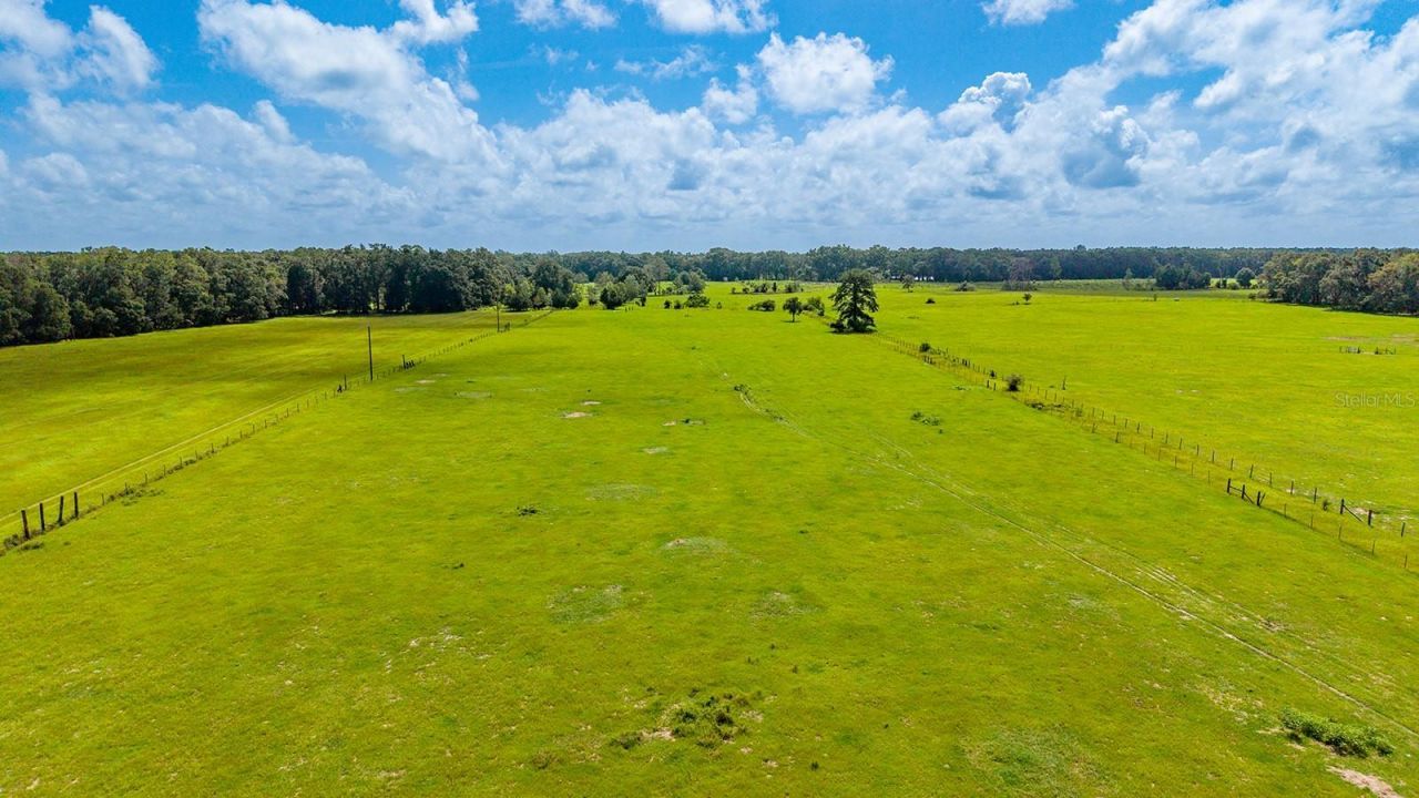 0000 NW 20th Street , Bell, FL 32619 Photo