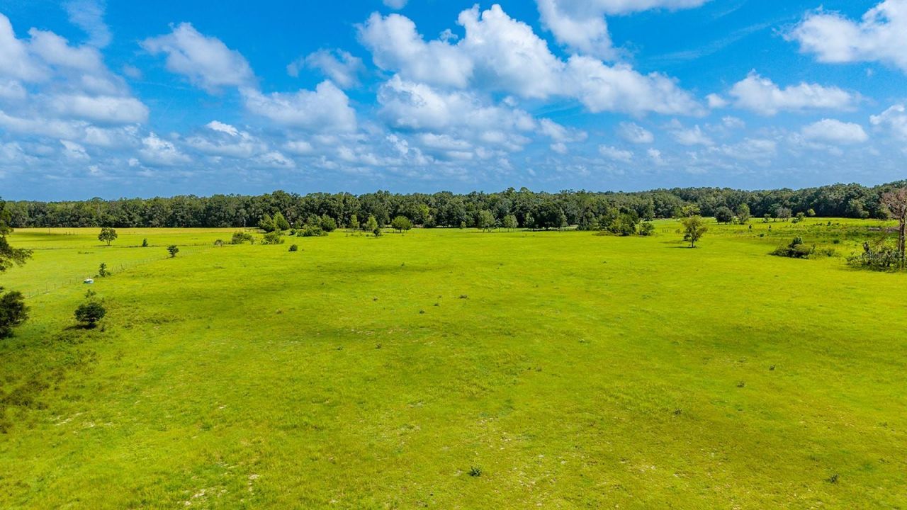 0000 NW 20th Street , Bell, FL 32619 Photo