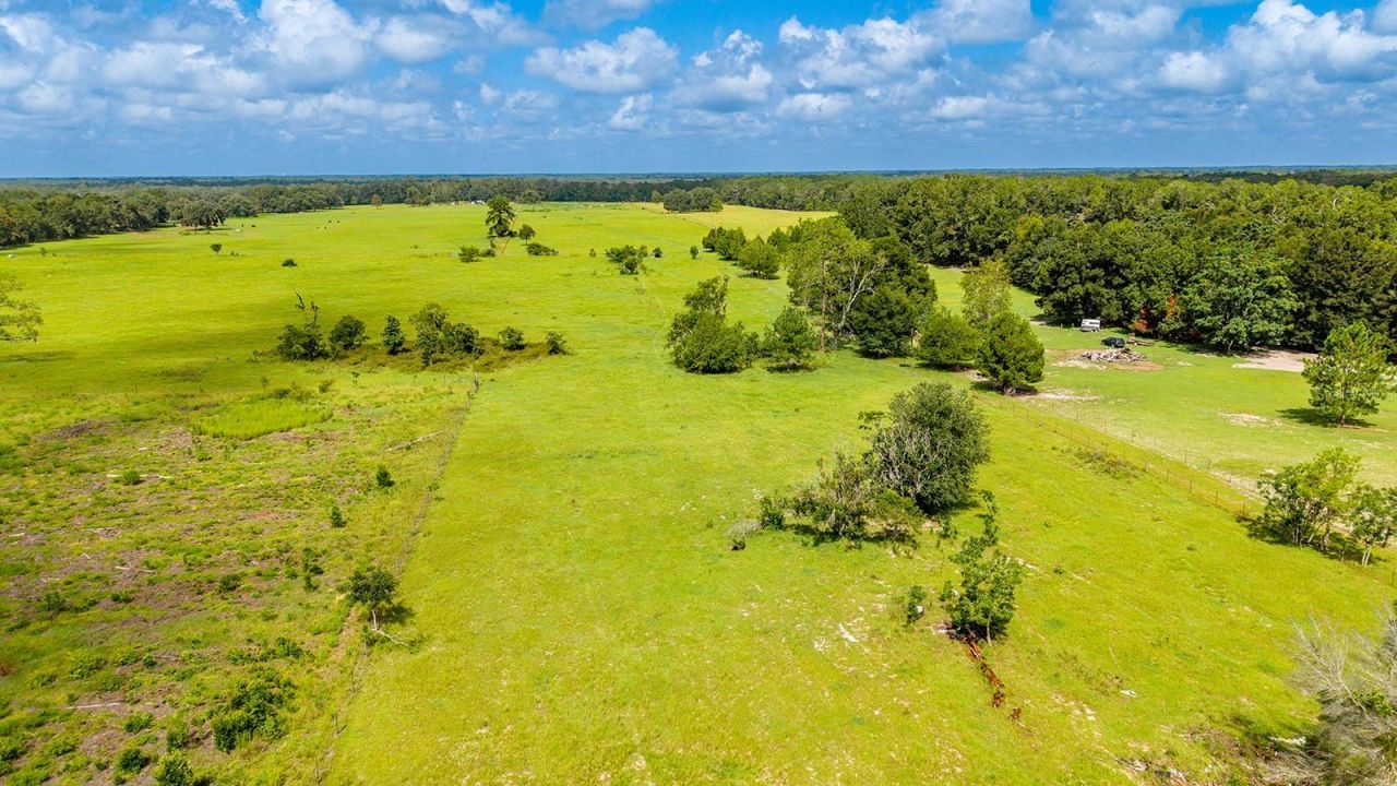 0000 NW 20th Street , Bell, FL 32619 Photo