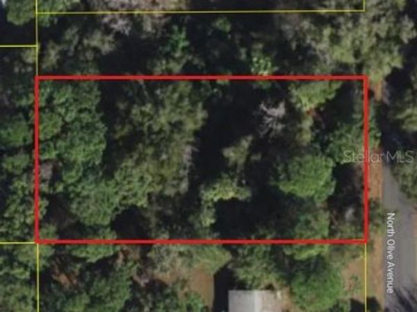 3408 N OLIVE AVENUE , CRYSTAL RIVER, FL 34428