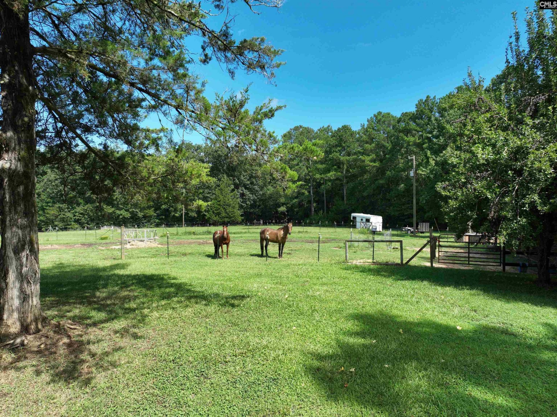 848 Stockman Road Photo 4