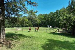848 Stockman Road photo 4