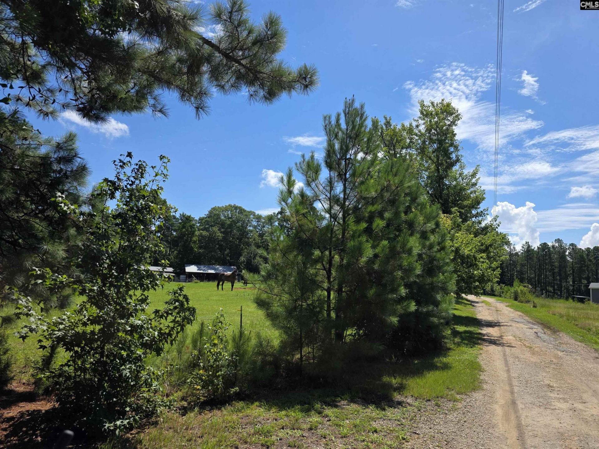 848 Stockman Road Photo 9