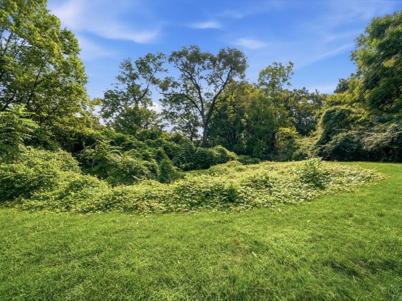2552 Cleinview Avenue, Cincinnati, OH 45206 Photo 30