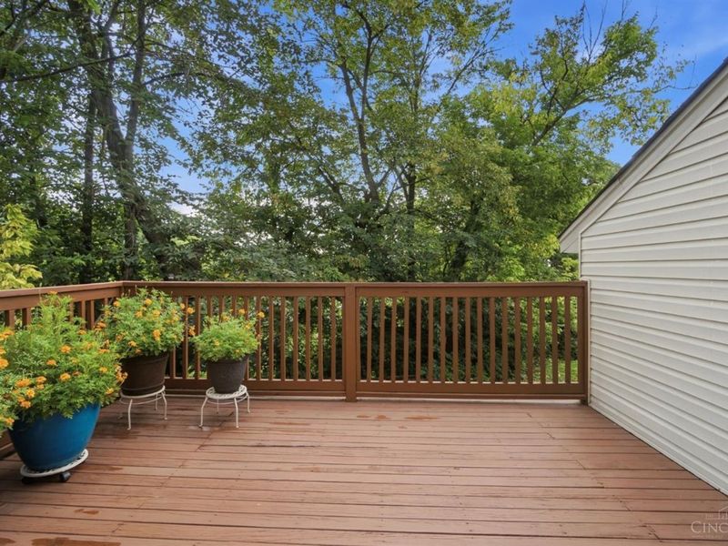 2552 Cleinview Avenue, Cincinnati, OH 45206 Photo 8