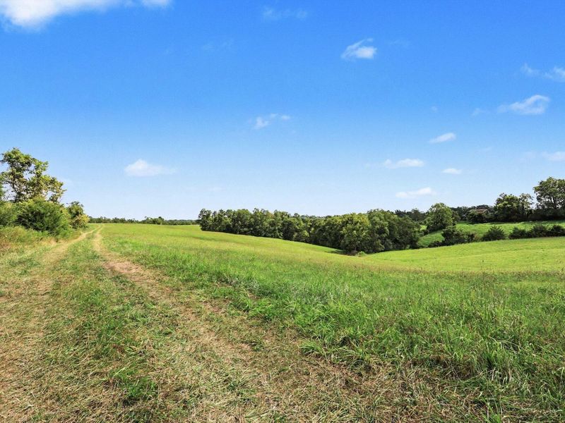 3665 Stewart Ridge Road, Jonesville, KY 41052 Photo 13