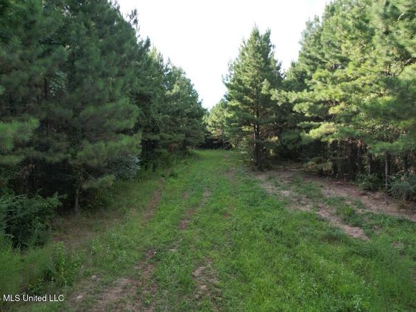 Old Oldenburg Road, Meadville, MS 39653