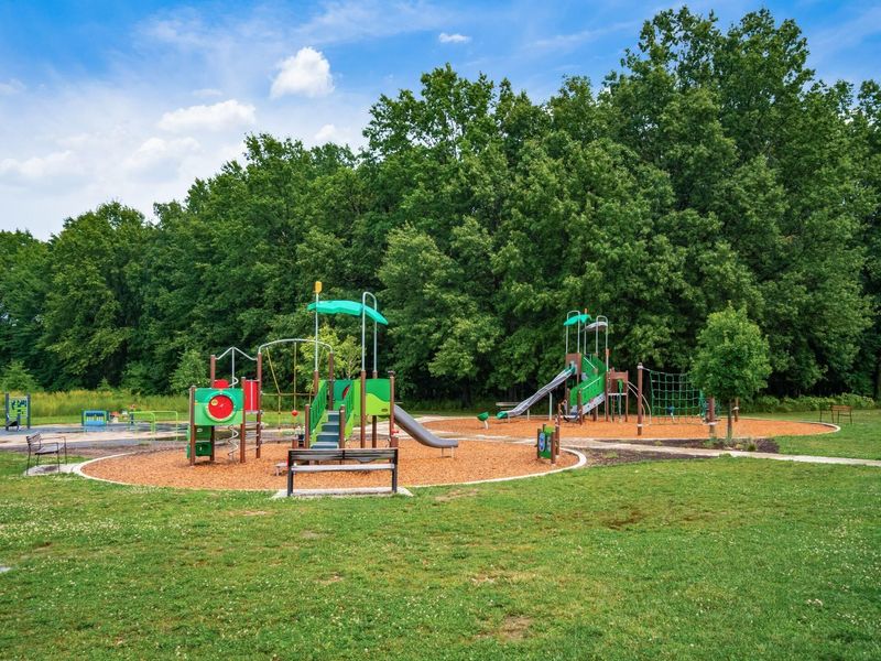 5982 Turnwood Drive, Unit 803, Westerville, OH 43081 Photo 57