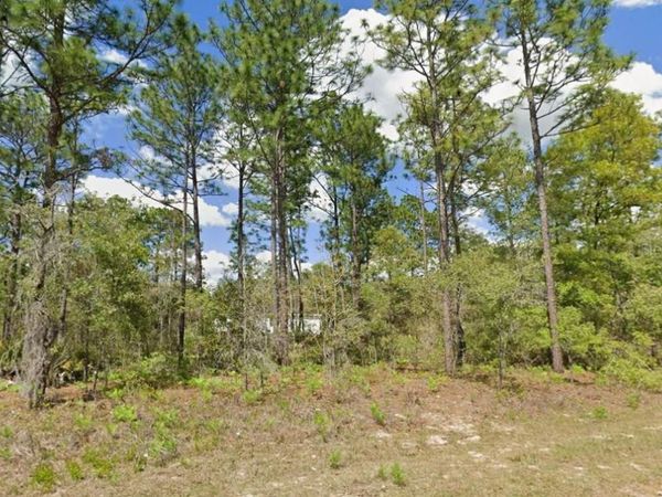 2175 W GALAXY LANE , CITRUS SPRINGS, FL 34434