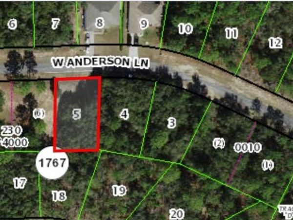 602 W ANDERSON LANE , CITRUS SPRINGS, FL 34434