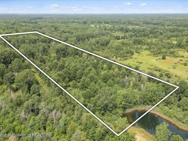 0 E Garfield Road, Ashley, MI 48806