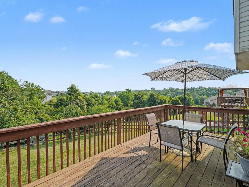10405 Sharpsburg Drive, Independence, KY 41051 Photo 29