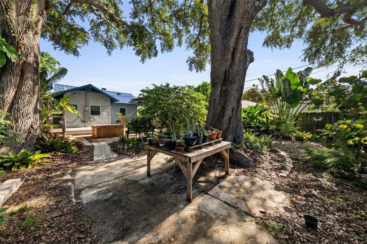 1024 23rd Avenue N, Saint Petersburg, FL 33704 Photo