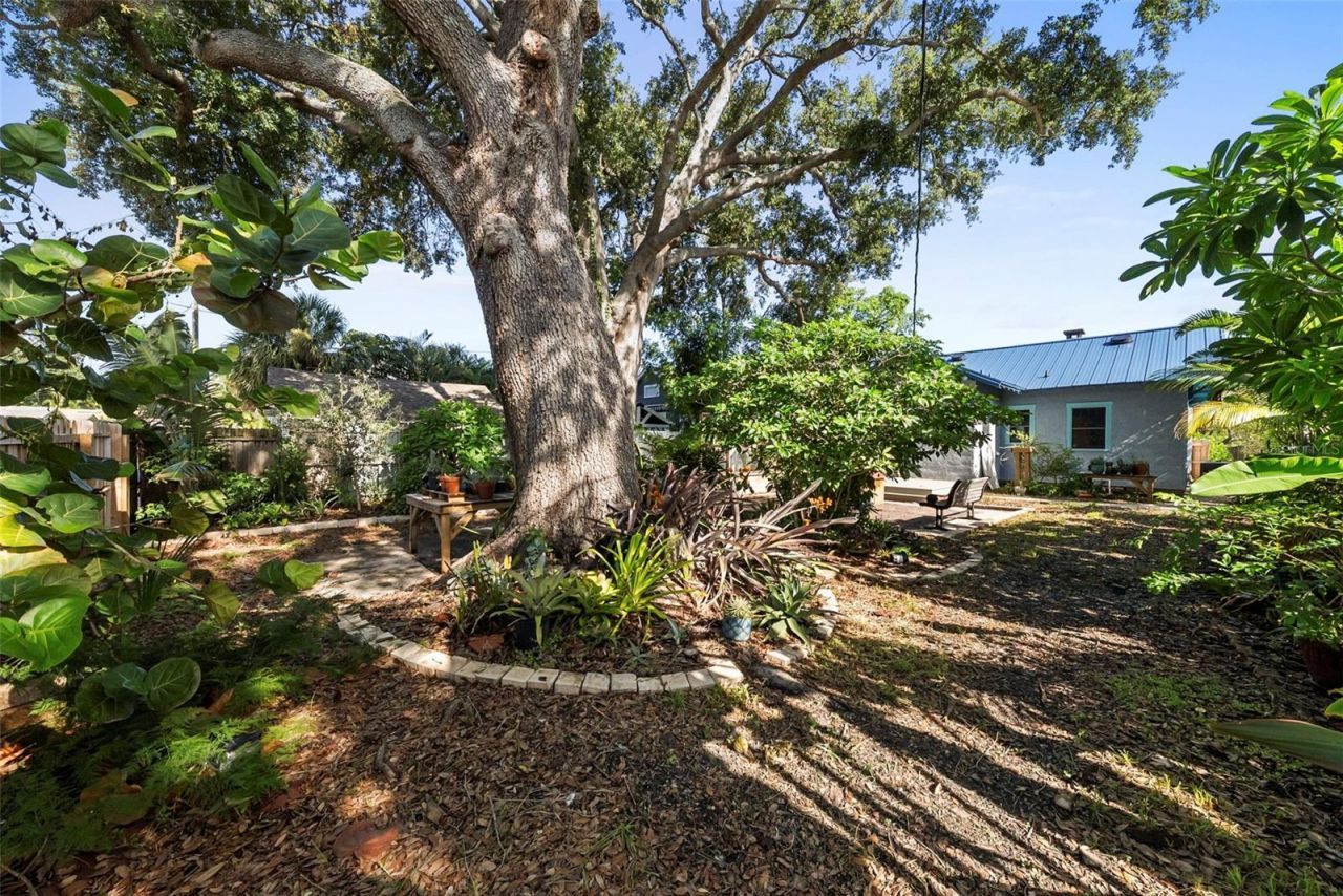 1024 23rd Avenue N, Saint Petersburg, FL 33704 Photo