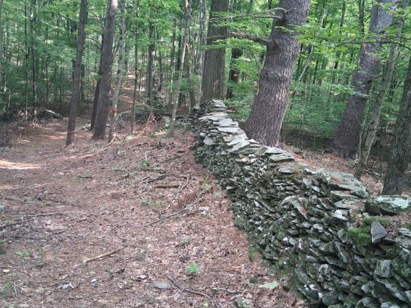248 Canniff Road, Cairo, NY 12413