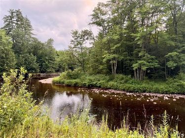 Donnattsburg Road, Greig, NY 13345