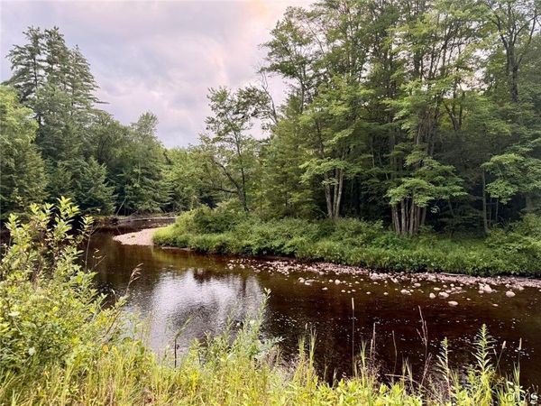 Donnattsburg Road, Greig, NY 13345