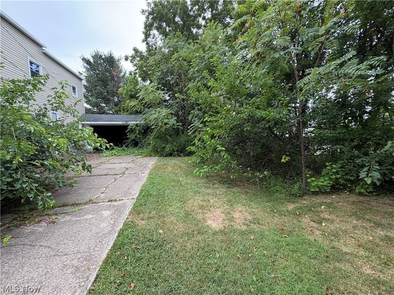 1258 W 65th Street, Cleveland, OH 44102 Photo 19