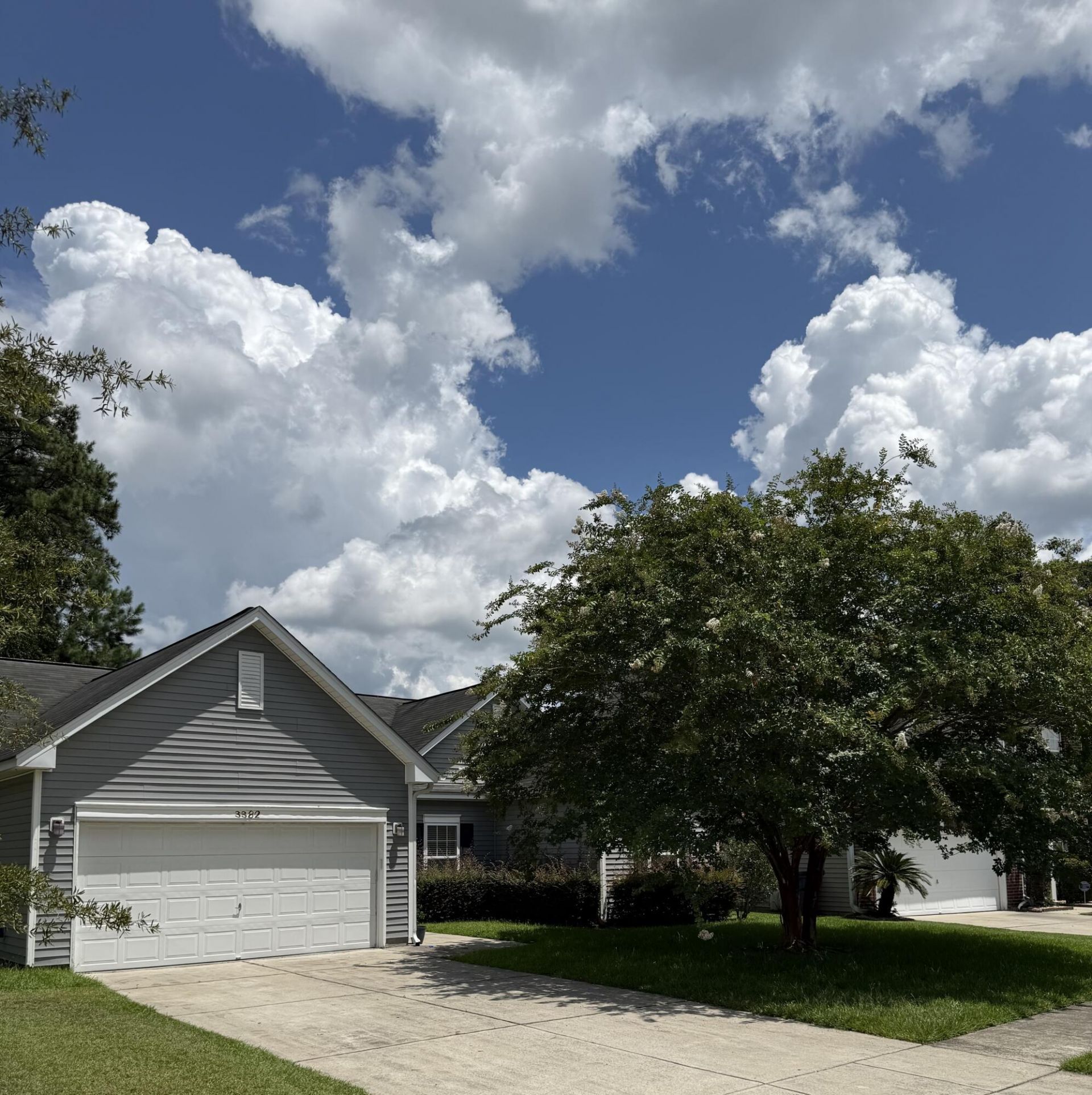 3382 Middlesboro Avenue Photo 25