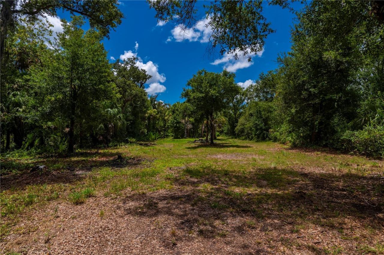 10789 SW Cypress Bend Avenue, Arcadia, FL 34269 Photo