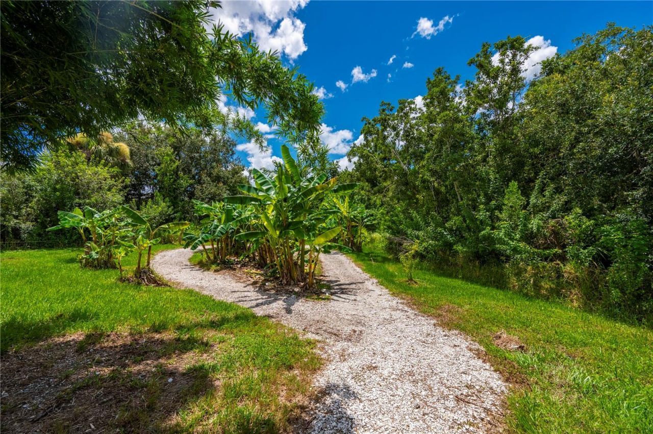 10789 SW Cypress Bend Avenue, Arcadia, FL 34269 Photo