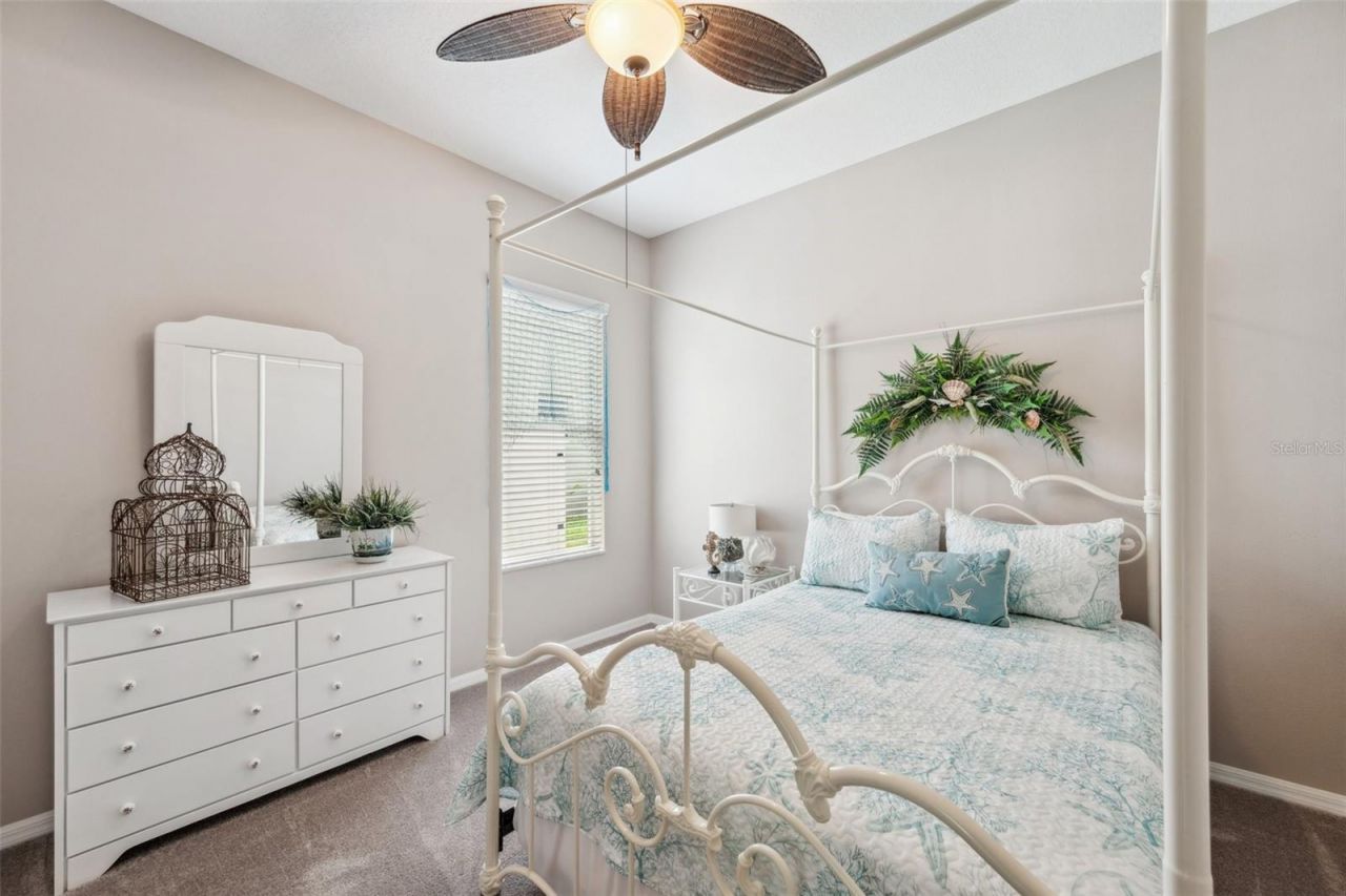 11519 Belle Haven Drive , New Port Richey, FL 34654 Photo