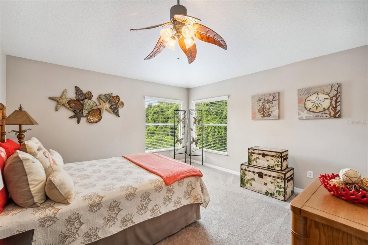 11519 Belle Haven Drive , New Port Richey, FL 34654 Photo