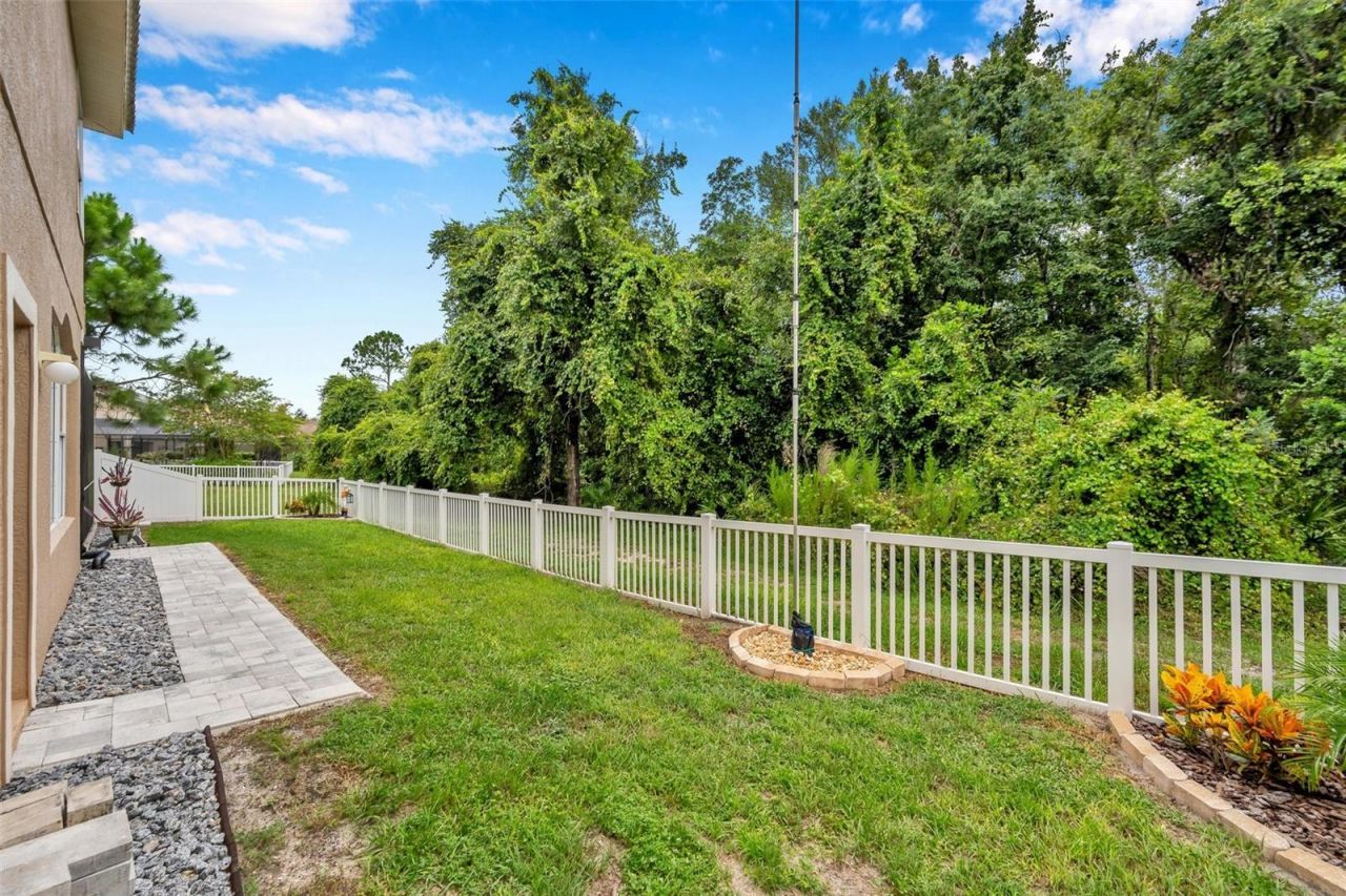 11519 Belle Haven Drive , New Port Richey, FL 34654 Photo