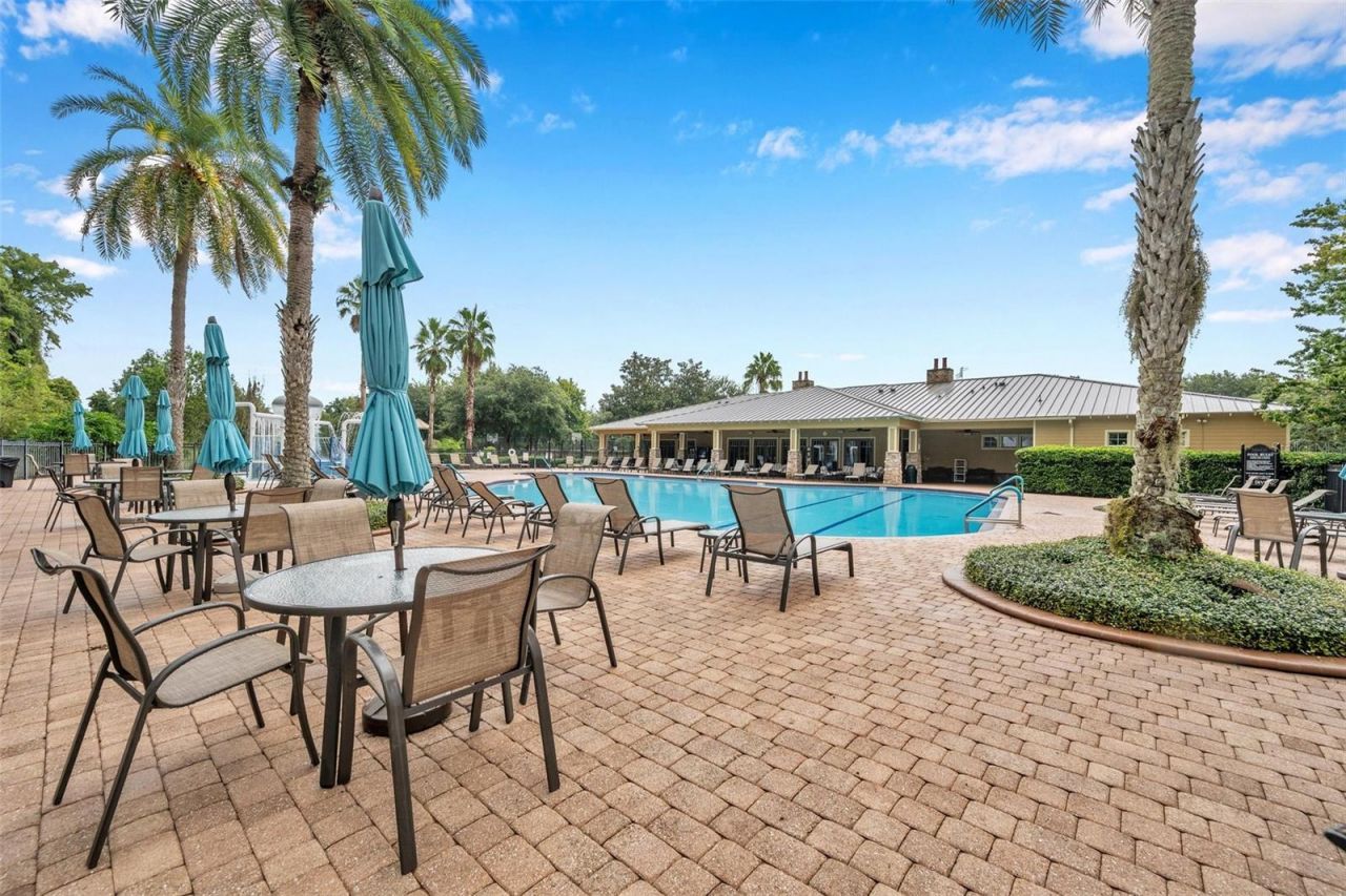 11519 Belle Haven Drive , New Port Richey, FL 34654 Photo