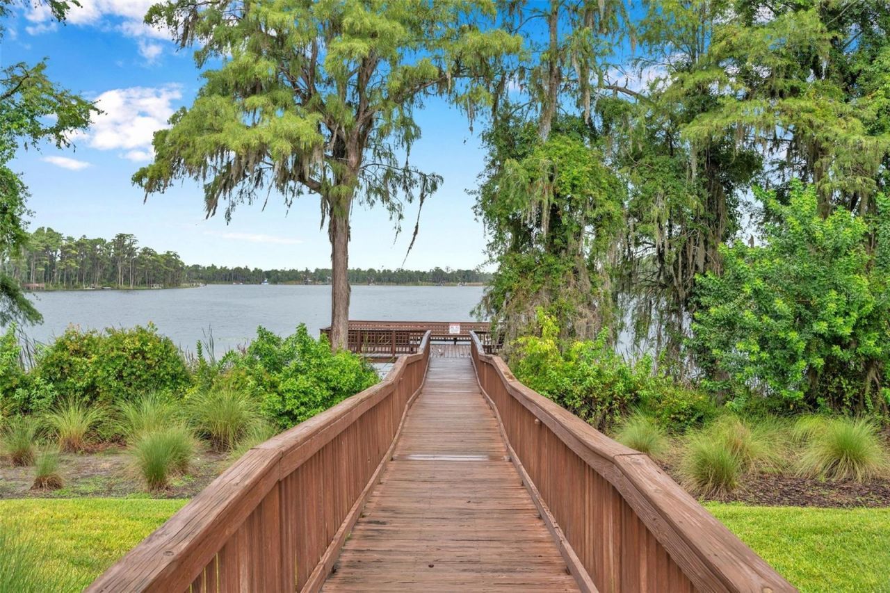 11519 Belle Haven Drive , New Port Richey, FL 34654 Photo