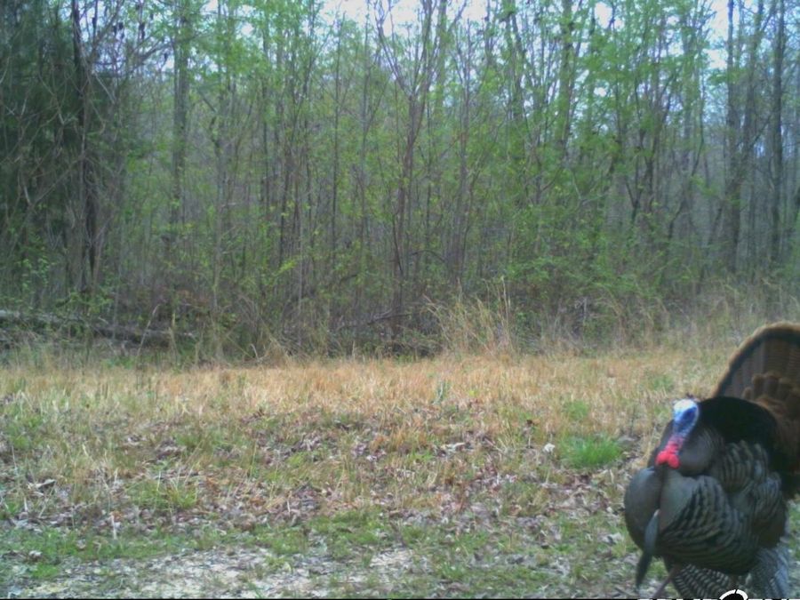 Property Image 191