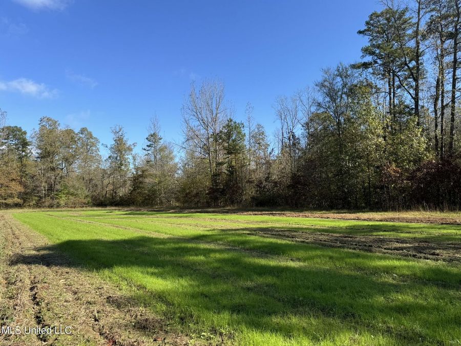 Property Image 83