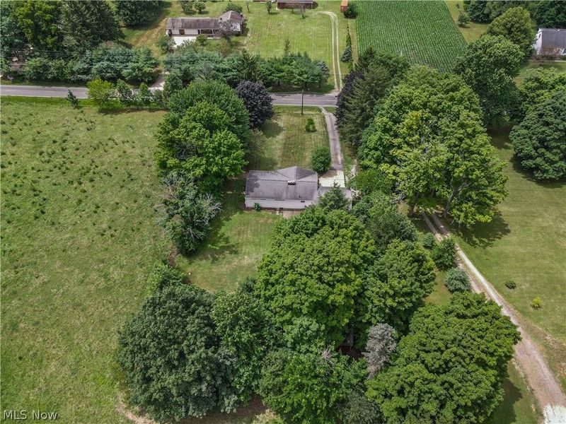 7879 Bear Swamp Road, Wadsworth, OH 44281 Photo 39
