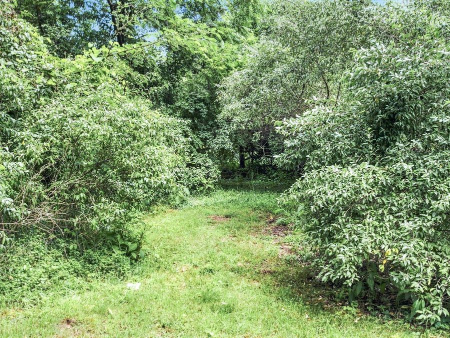 Property Image 31