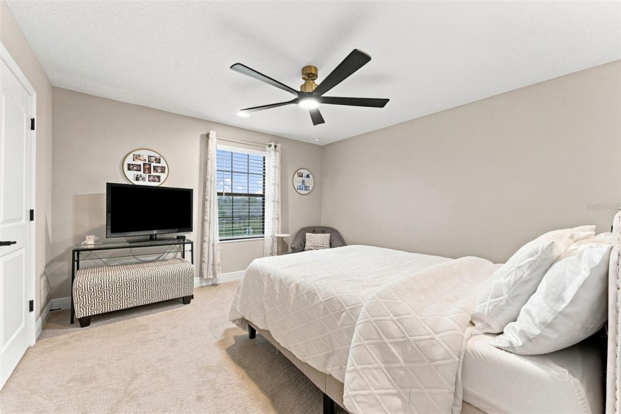 13249 Wildflower Meadow Drive, Riverview, FL 33579 Photo