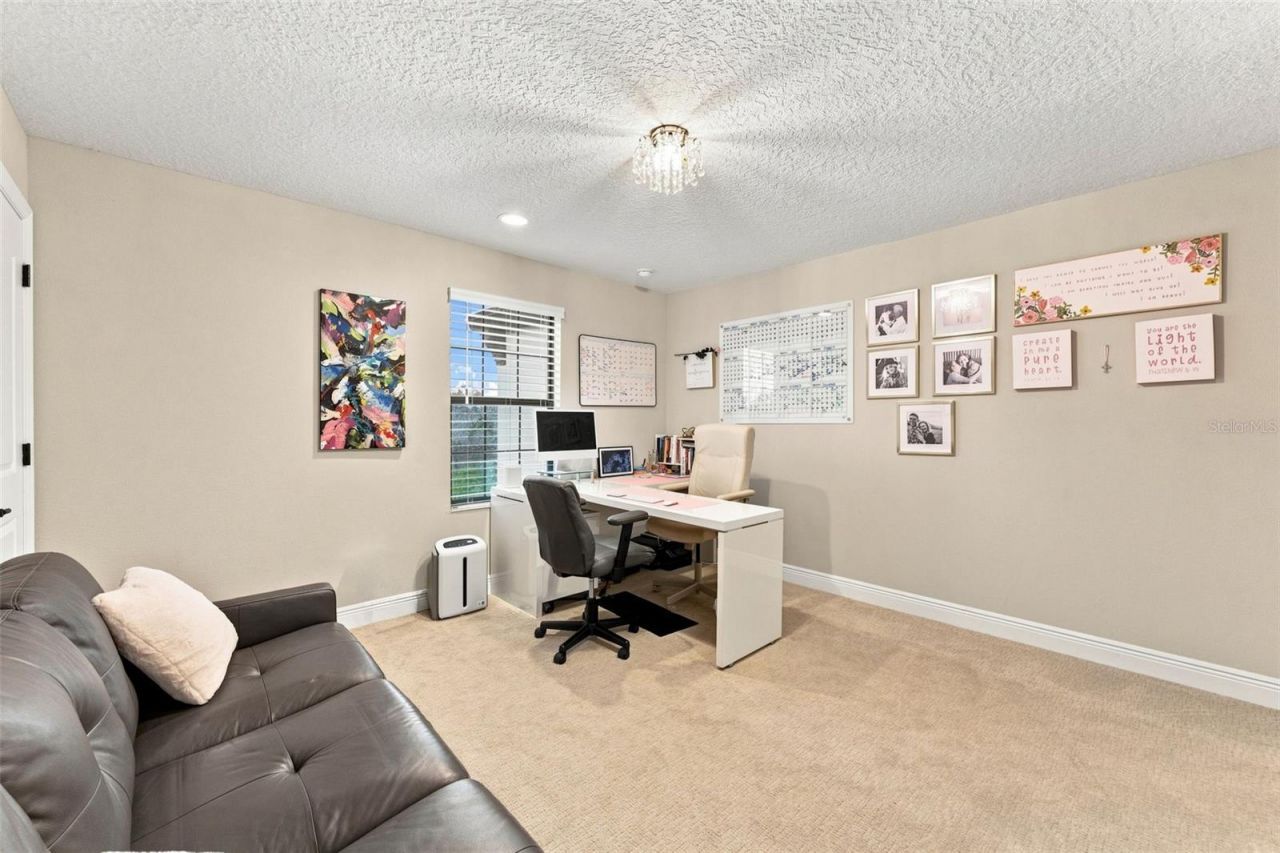 13249 Wildflower Meadow Drive, Riverview, FL 33579 Photo