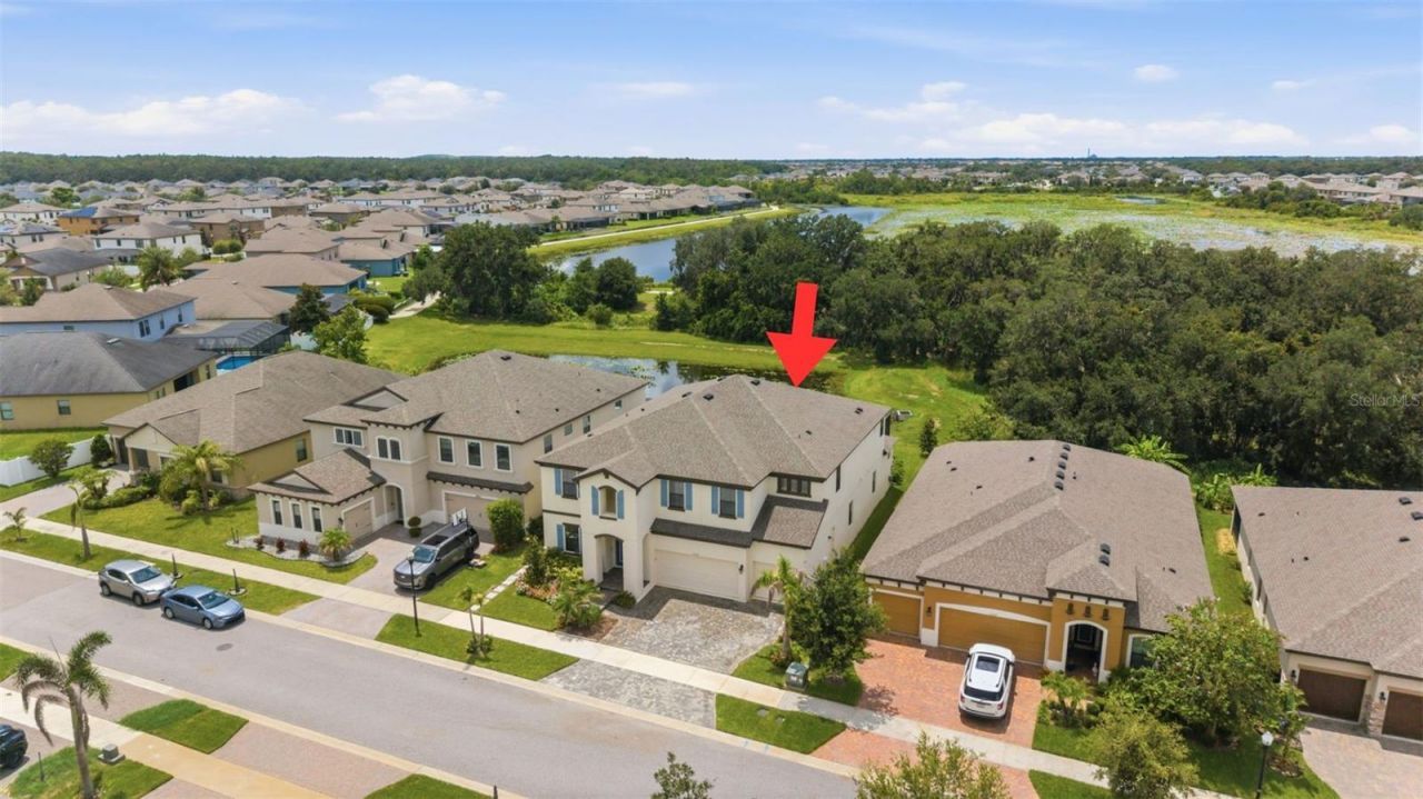 13249 Wildflower Meadow Drive, Riverview, FL 33579 Photo