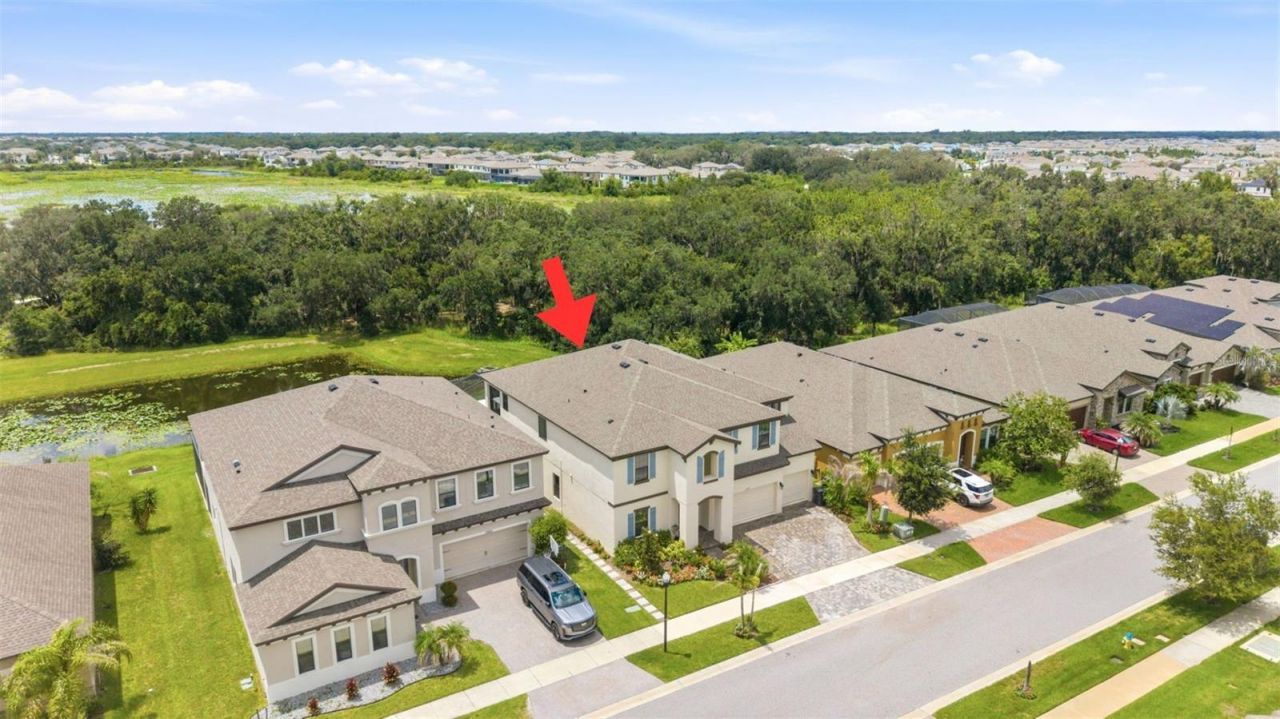13249 Wildflower Meadow Drive, Riverview, FL 33579 Photo