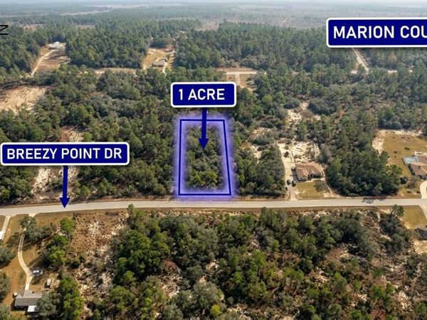 0000 BREEZY POINT DRIVE, DUNNELLON, FL 34431