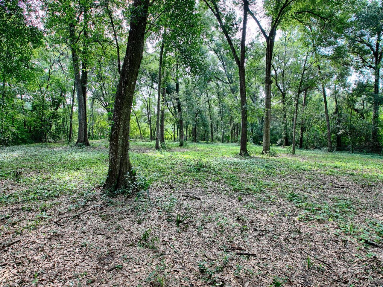 4905 Plymouth Sorrento Road , Apopka, FL 32712 Photo