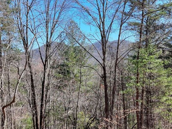 LOT 10 Firefly Ridge, Blairsville, GA 30512