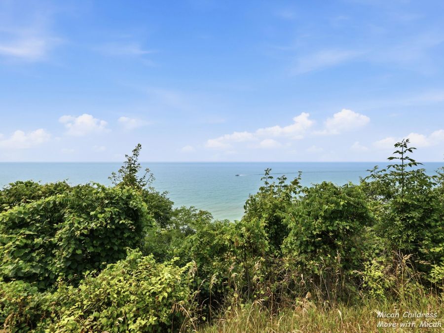 Property Image 64