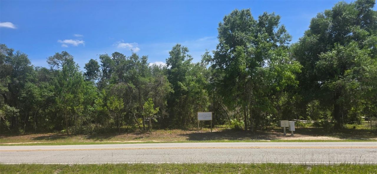 Ne 236th Court , Fort Mc Coy, FL 32134 Main Photo