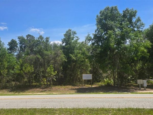 NE 236TH COURT , FORT MC COY, FL 32134
