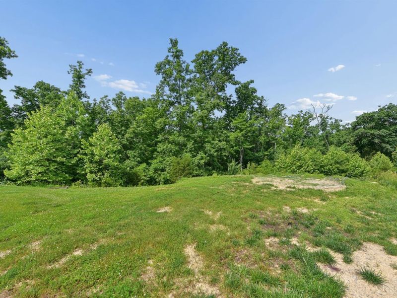 9255 Geromes Way, Unit Lot 8, Symmes Township, OH 45140 Photo 11
