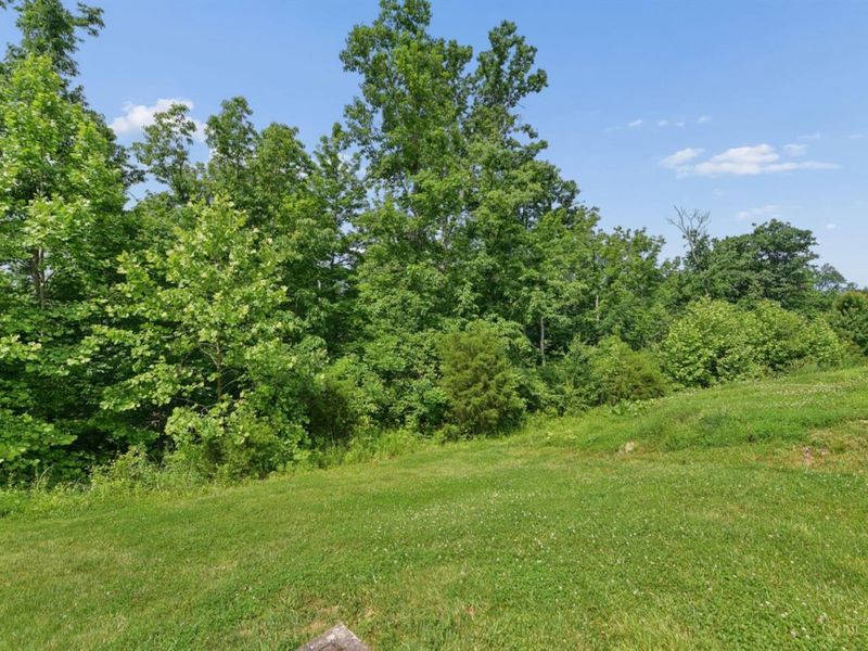 9255 Geromes Way, Unit Lot 8, Symmes Township, OH 45140 Photo 13