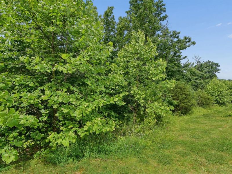 9255 Geromes Way, Unit Lot 8, Symmes Township, OH 45140 Photo 14
